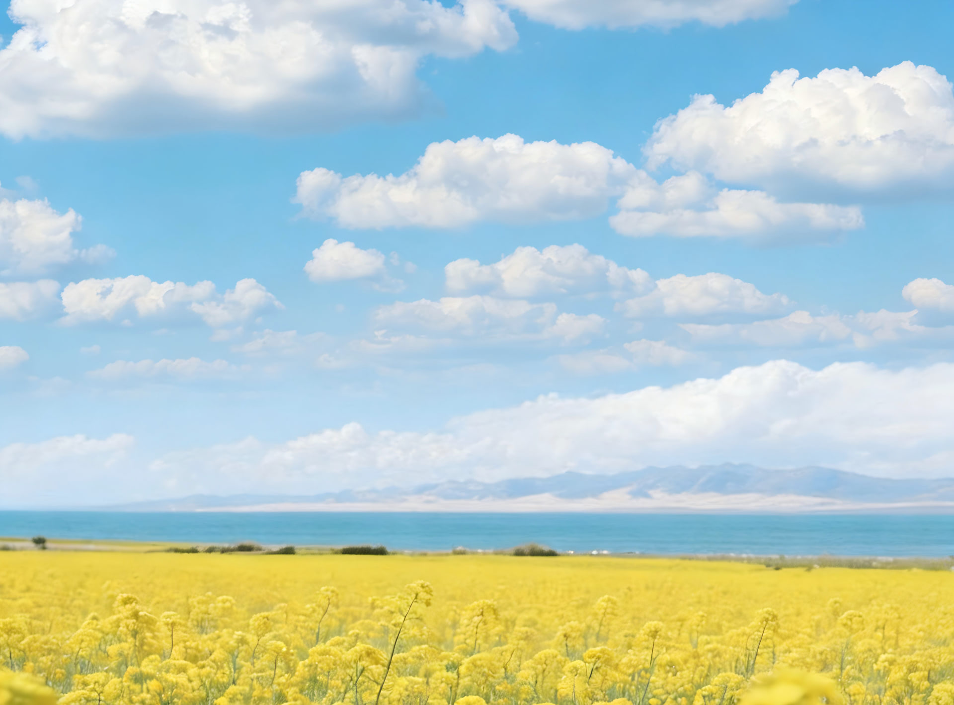 MYUAV TECHNOLOGIES CO.,LTD.