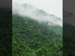 MYUAV tarafından üretilen DJI FC30 FlyCart 30 bağlı drone sistemi